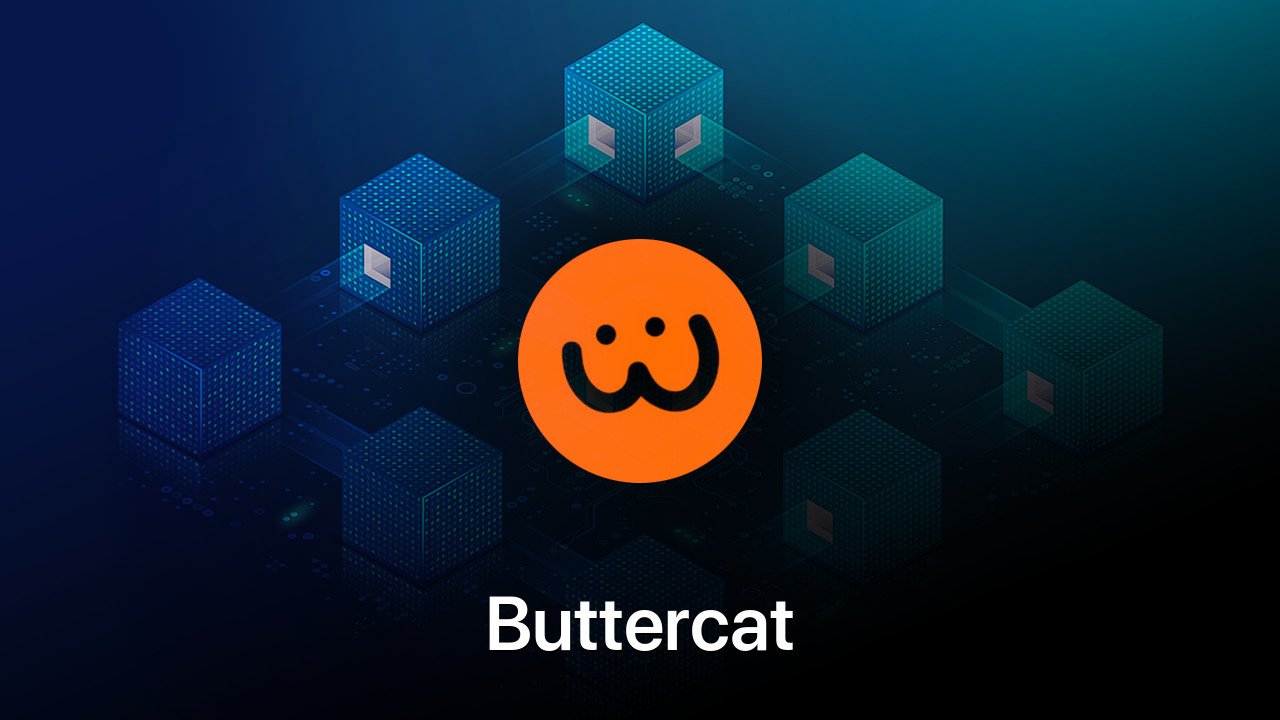 Where to buy Buttercat coin