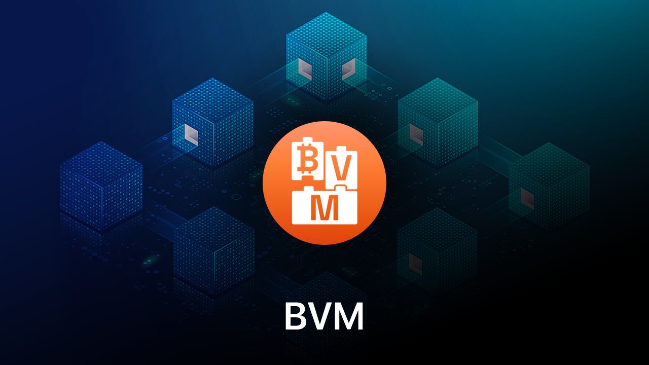 Where to buy BVM coin