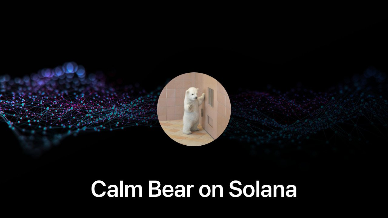 Where to buy Calm Bear on Solana coin