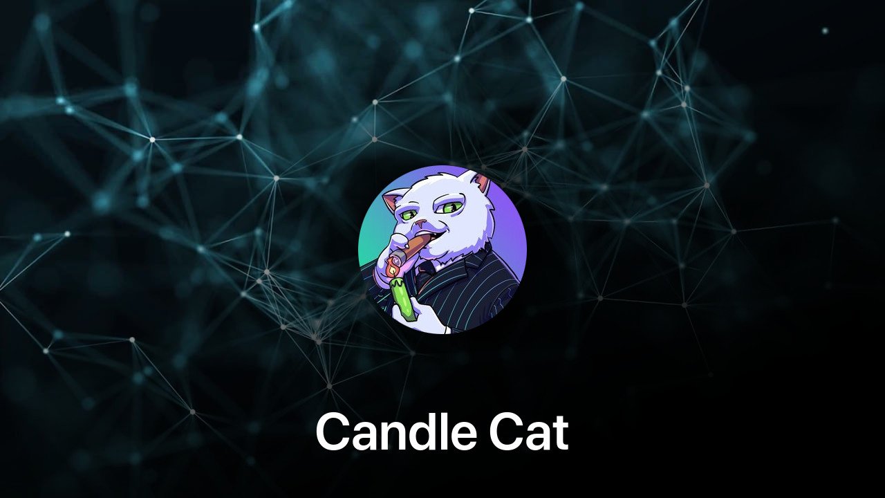 Where to buy Candle Cat coin