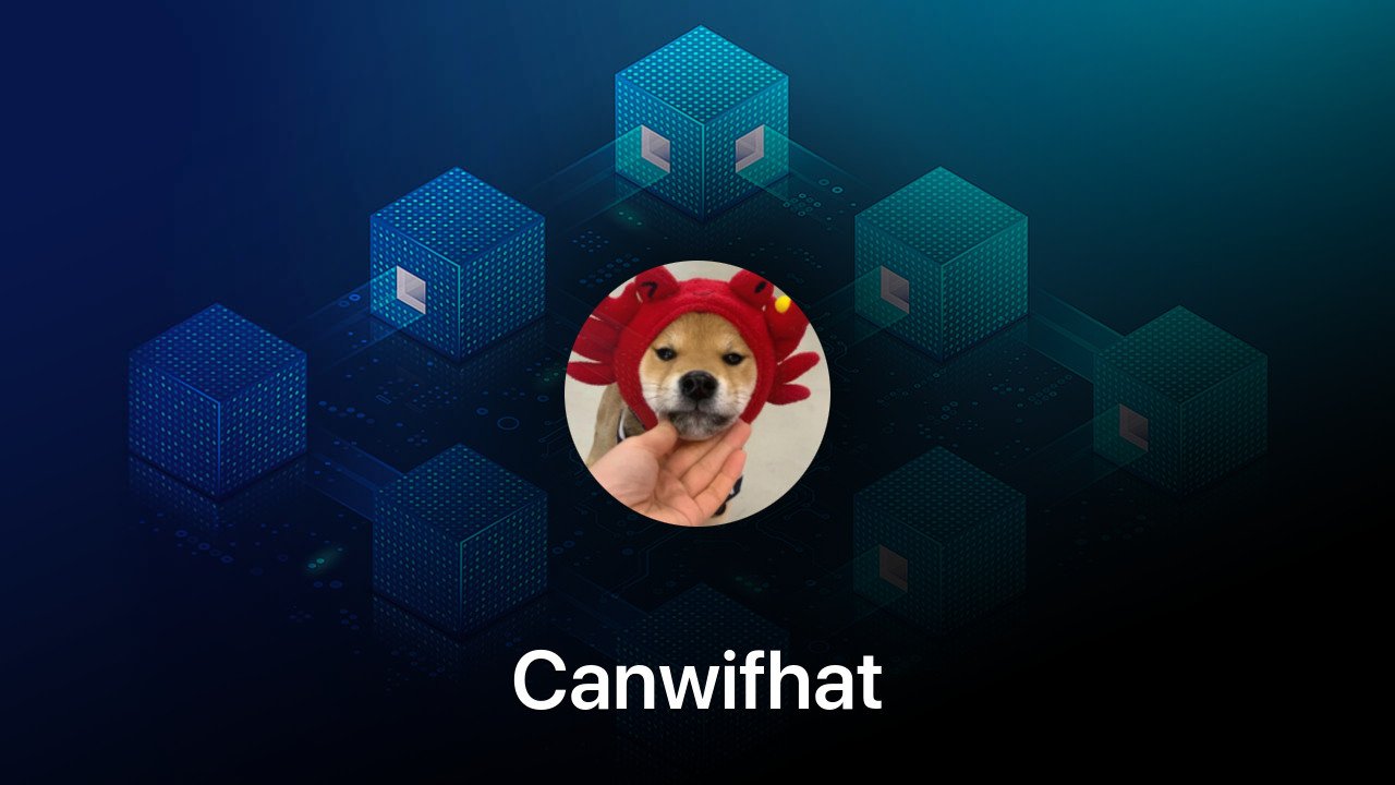 Where to buy Canwifhat coin