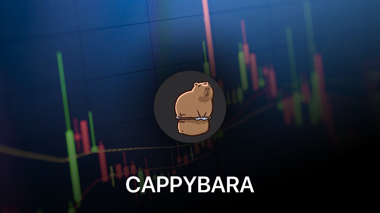 Where to buy CAPPYBARA coin