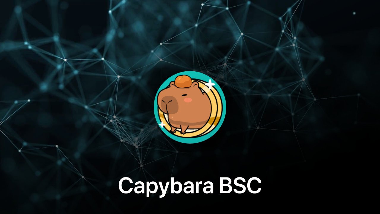 Where to buy Capybara BSC coin