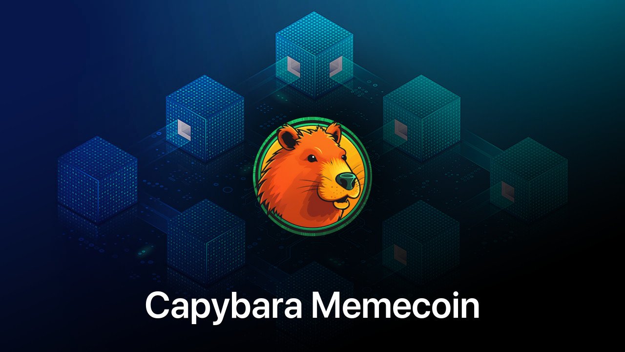 Where to buy Capybara Memecoin coin