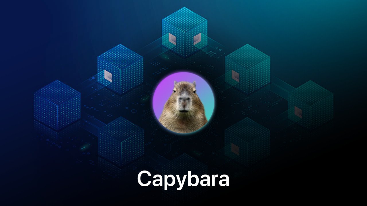 Where to buy Capybara coin