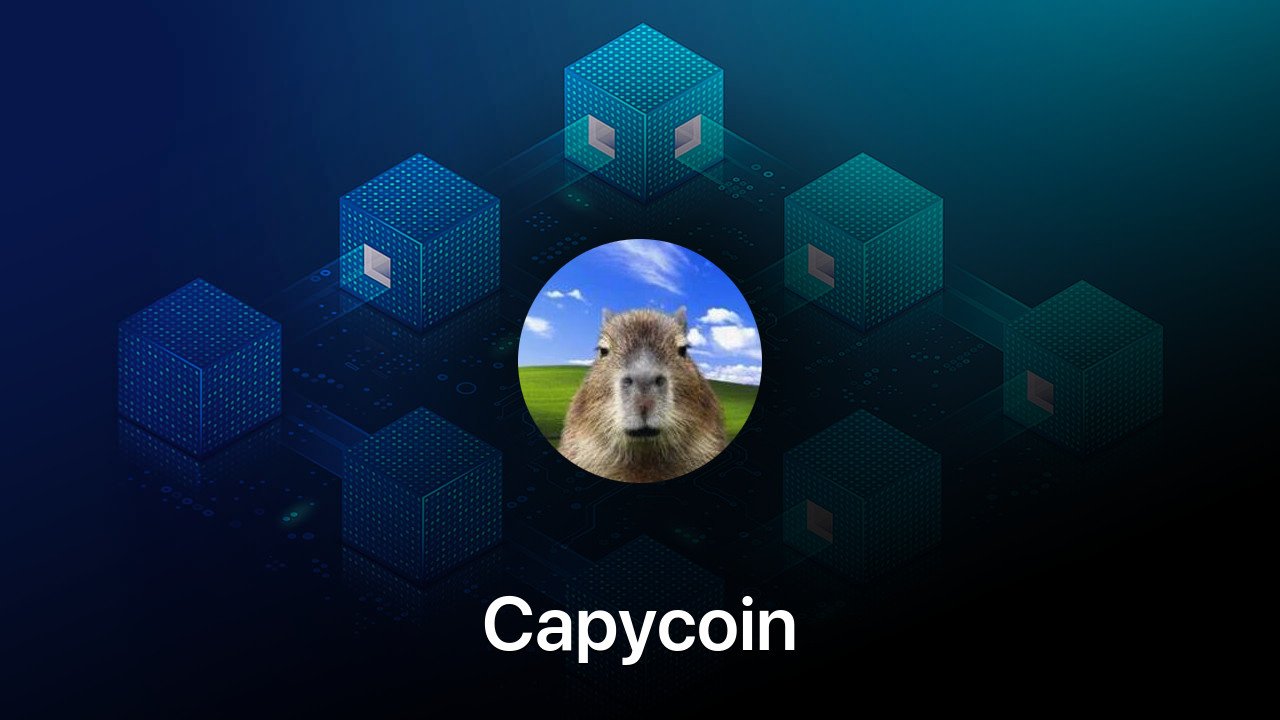 Where to buy Capycoin coin