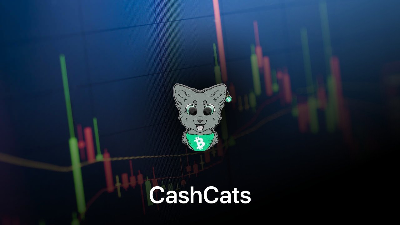 Where to buy CashCats coin