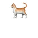 Where Buy Cat Emoji on Solana