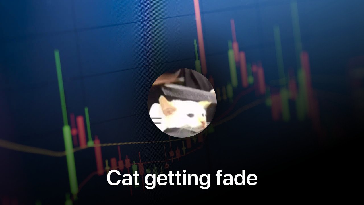 Where to buy Cat getting fade coin