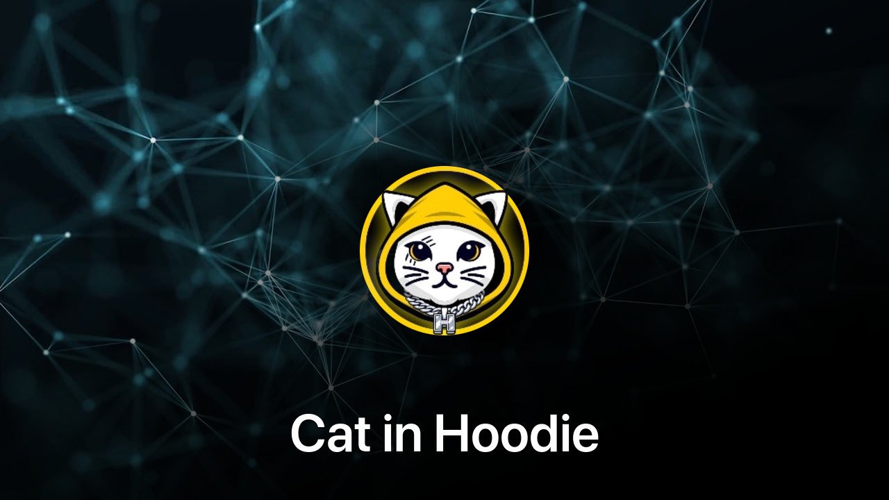 Where to buy Cat in Hoodie coin