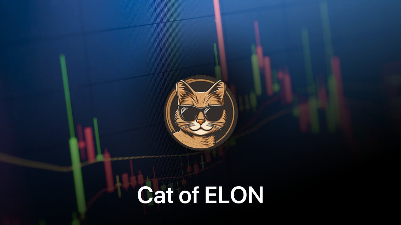 Where to buy Cat of ELON coin