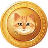 Where Buy Cat Token