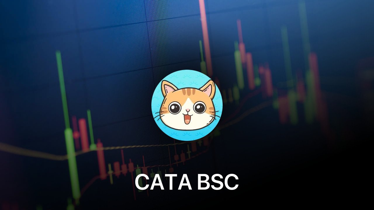 Where to buy CATA BSC coin