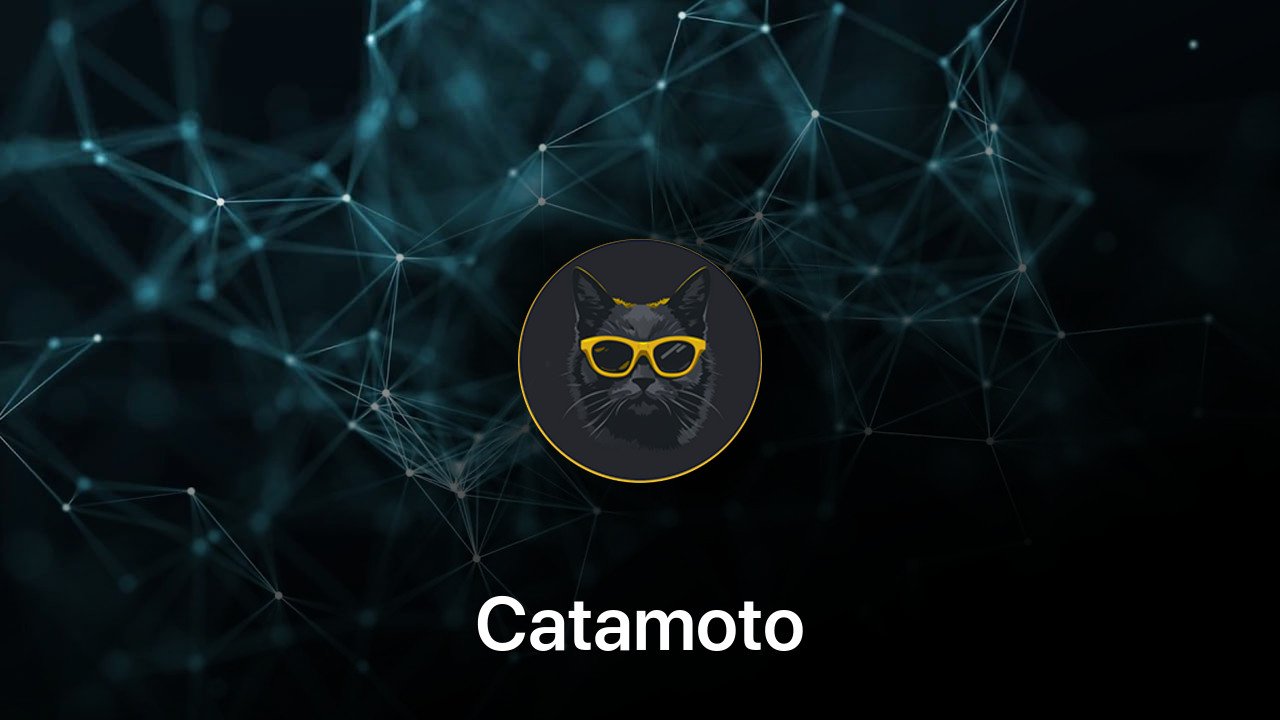 Where to buy Catamoto coin