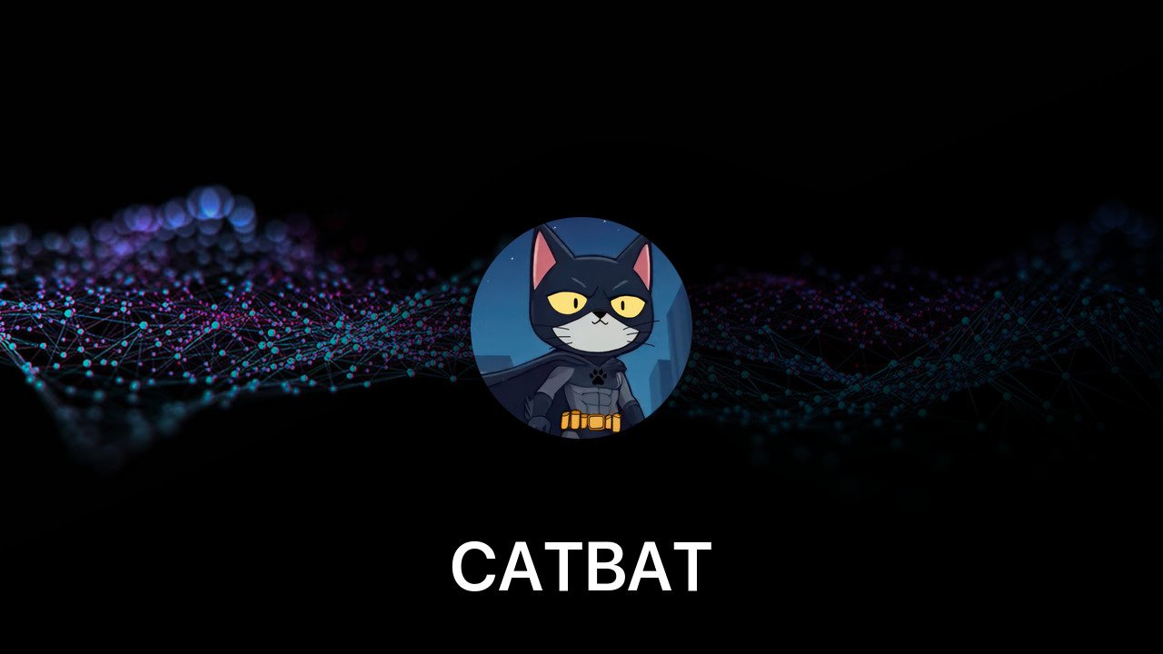 Where to buy CATBAT coin