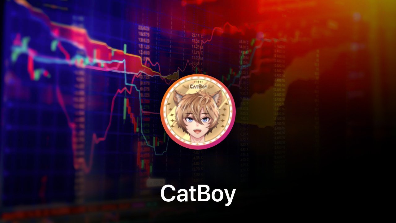 Where to buy CatBoy coin