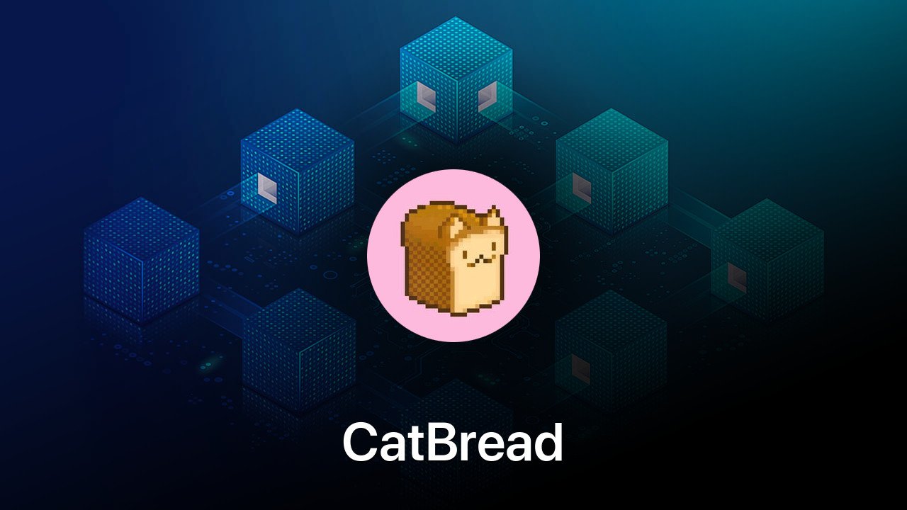 Where to buy CatBread coin