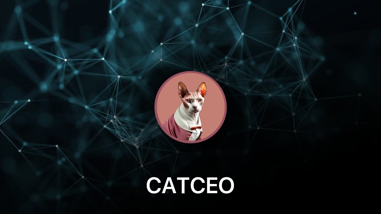 Where to buy CATCEO coin