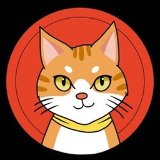 Where Buy Catcoin BSC