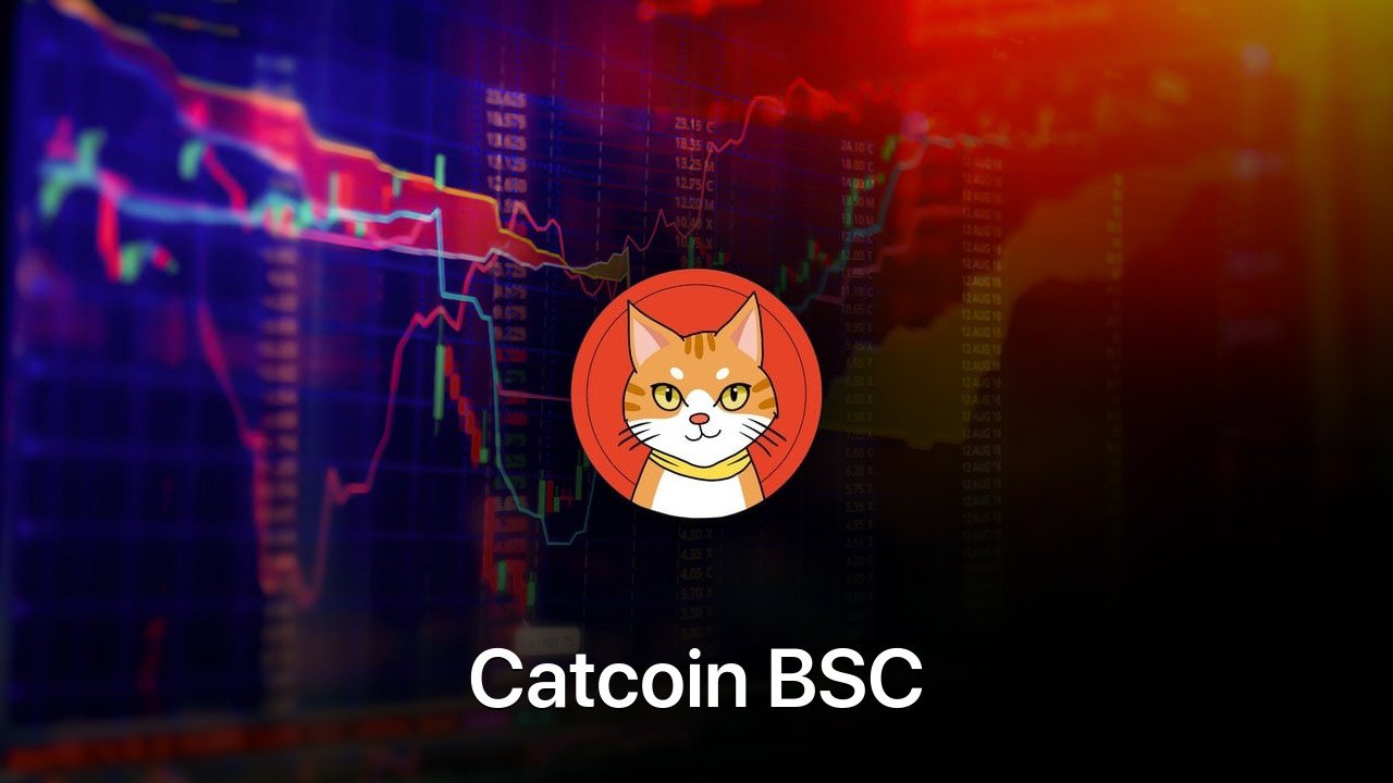 Where to buy Catcoin BSC coin