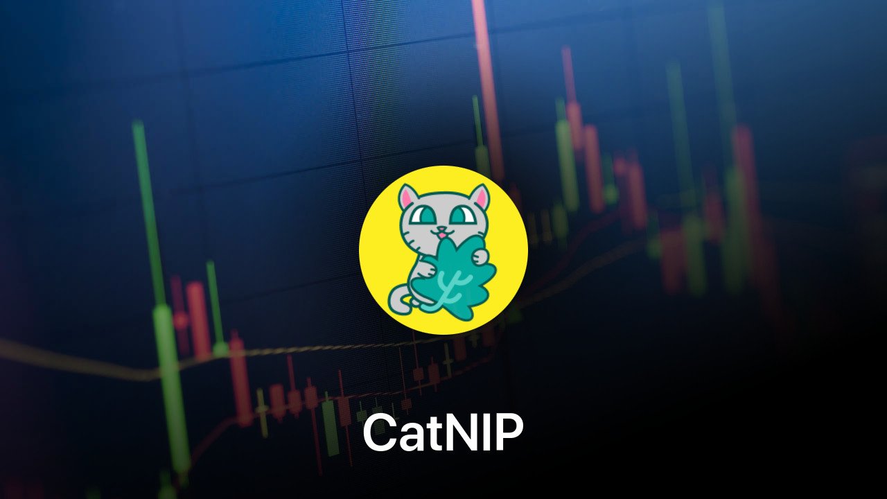 Where to buy CatNIP coin