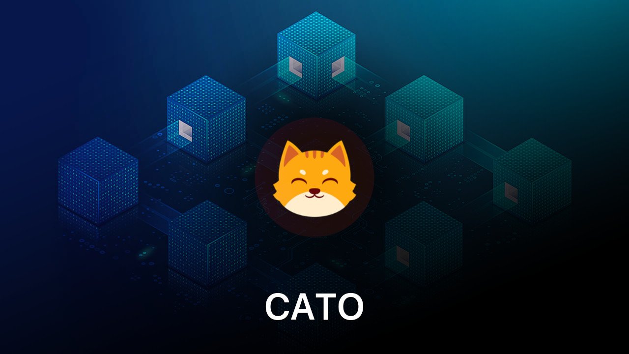 Where to buy CATO coin