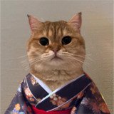 Where Buy catownkimono