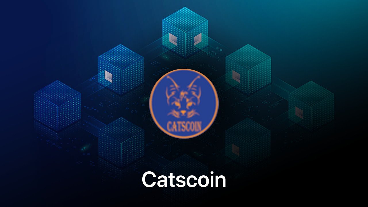 Where to buy Catscoin coin
