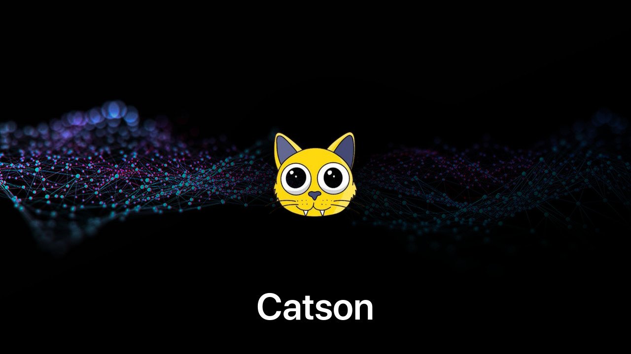 Where to buy Catson coin