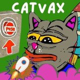 Where Buy Catvax