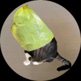 Where Buy catwifbag