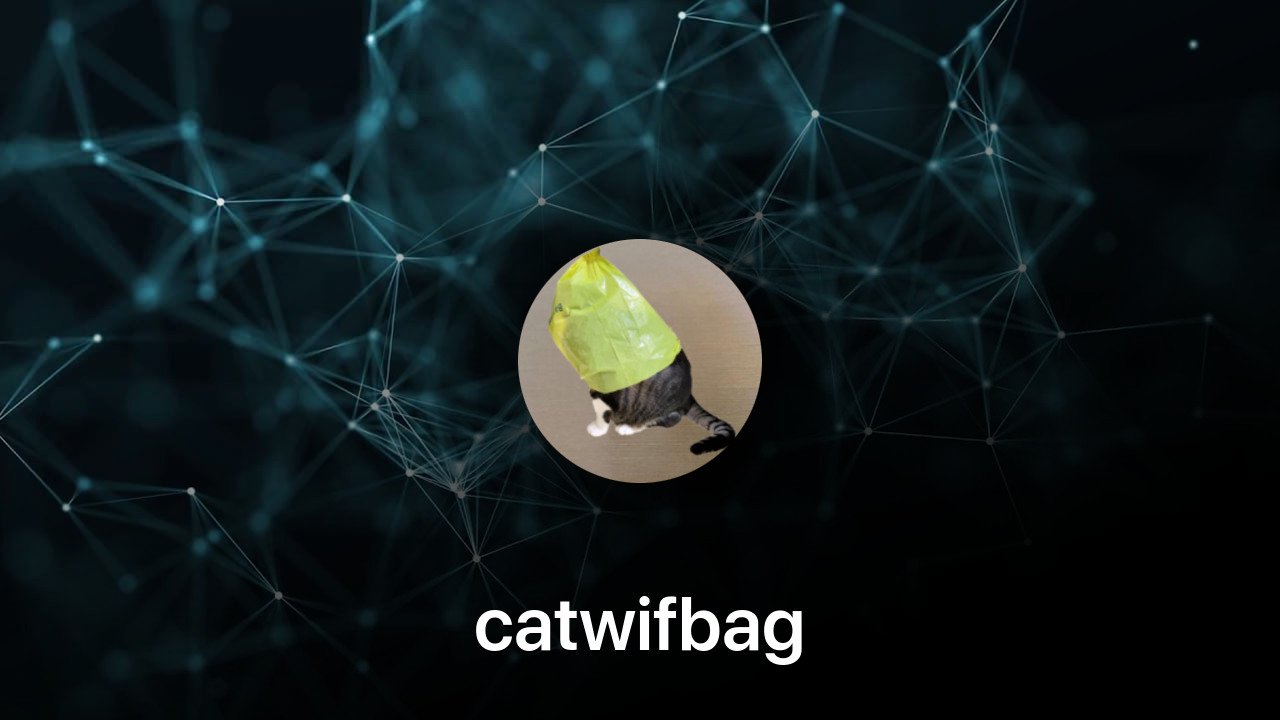 Where to buy catwifbag coin