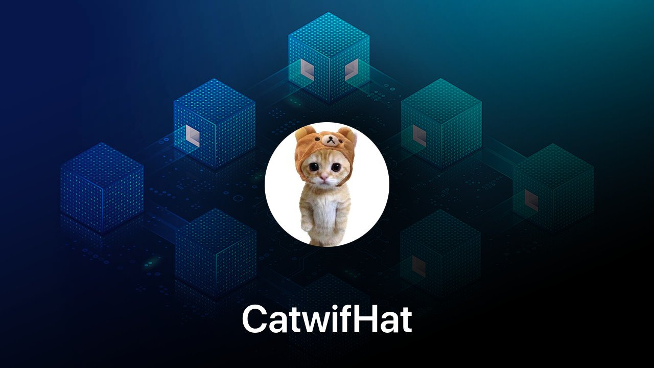 Where to buy CatwifHat coin