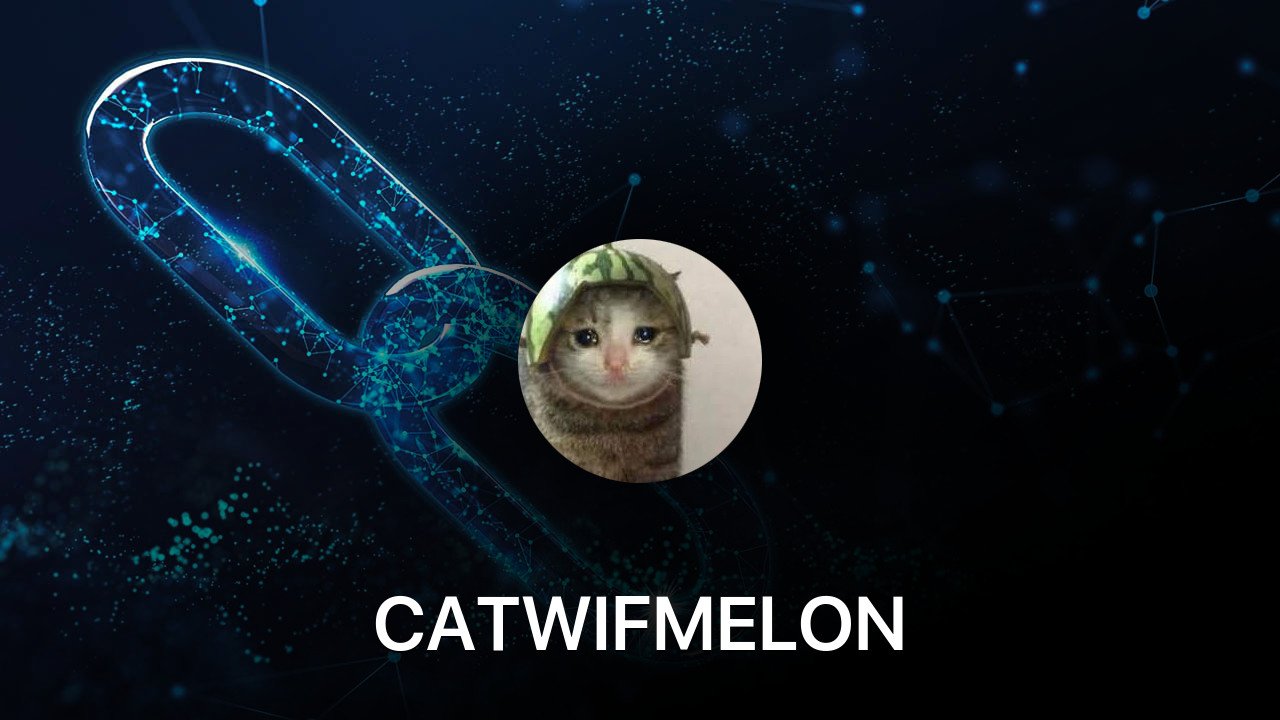 Where to buy CATWIFMELON coin