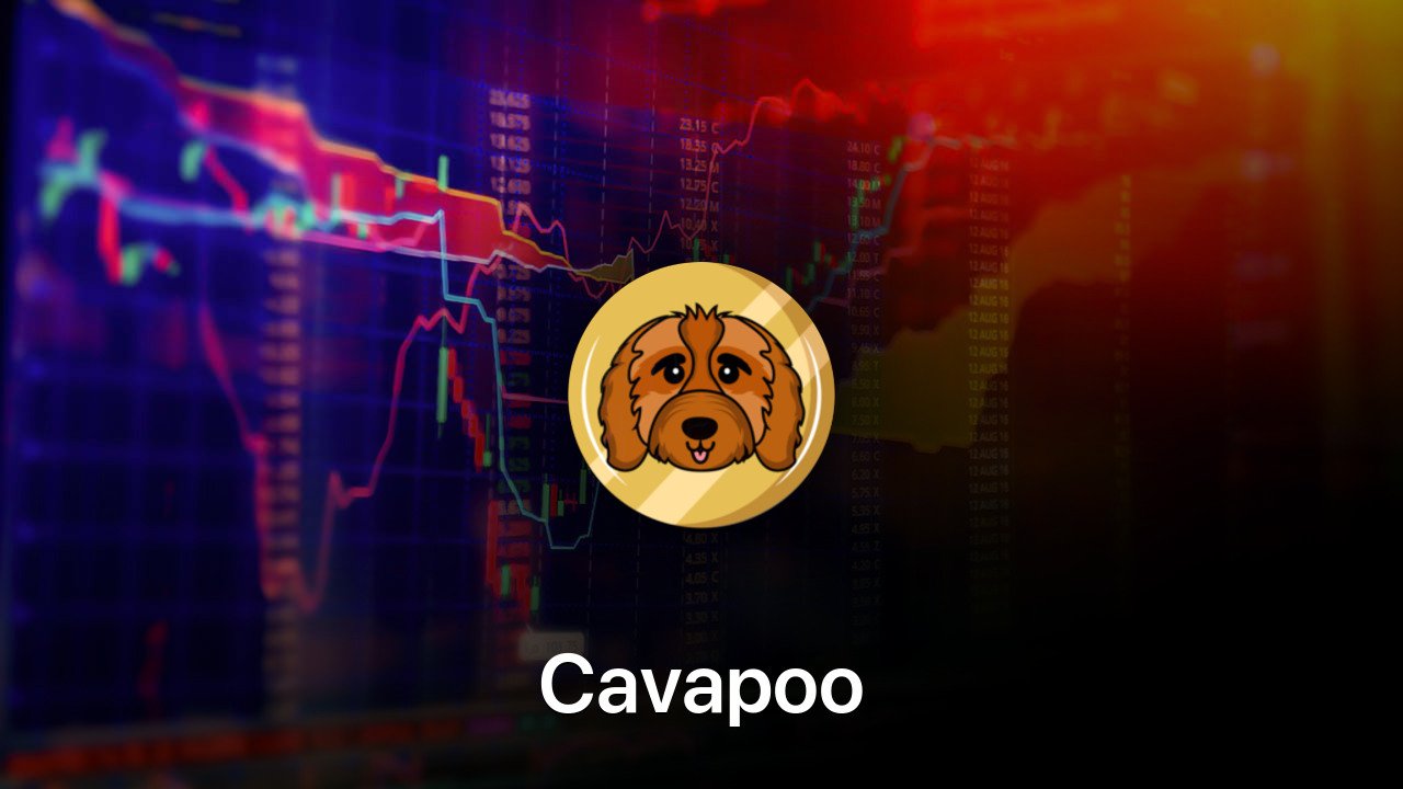 Where to buy Cavapoo coin