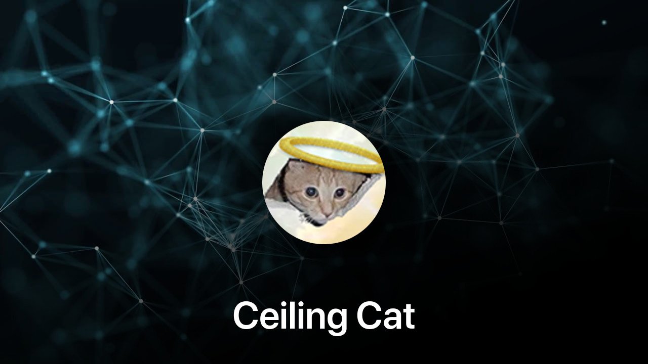 Where to buy Ceiling Cat coin