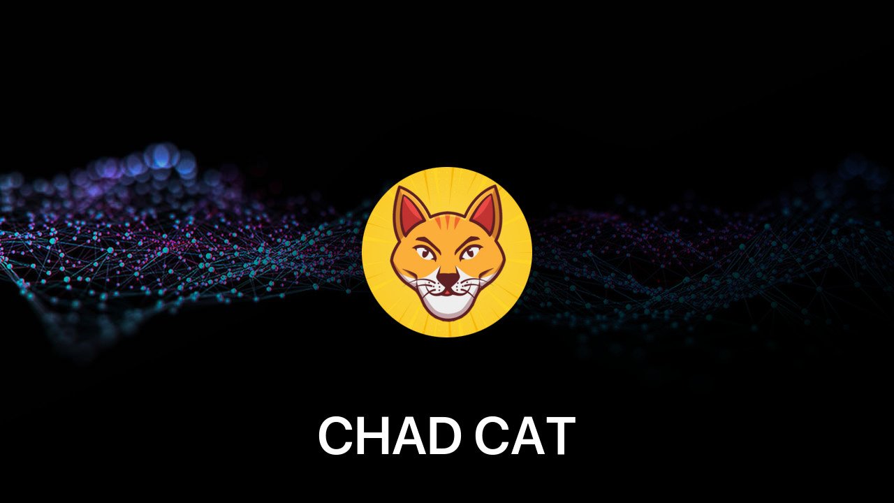 Where to buy CHAD CAT coin