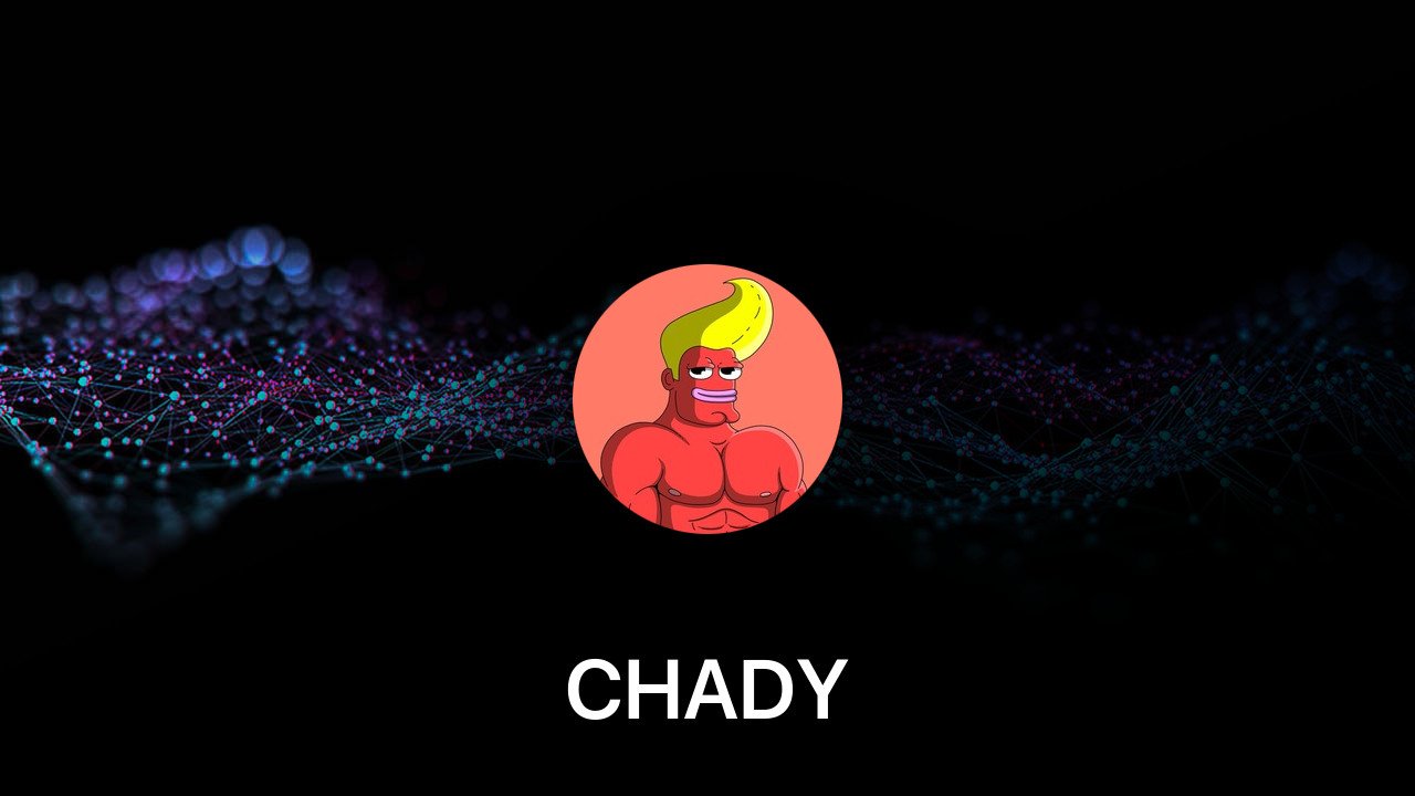 Where to buy CHADY coin