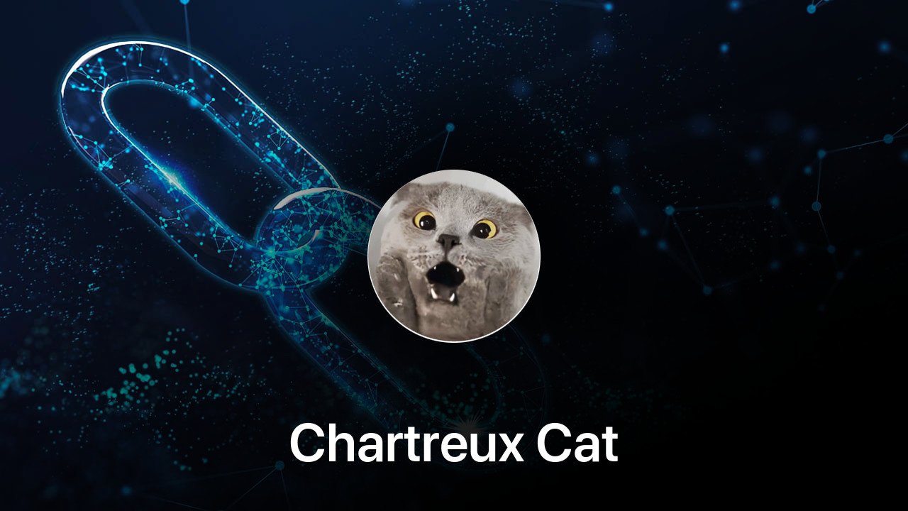 Where to buy Chartreux Cat coin