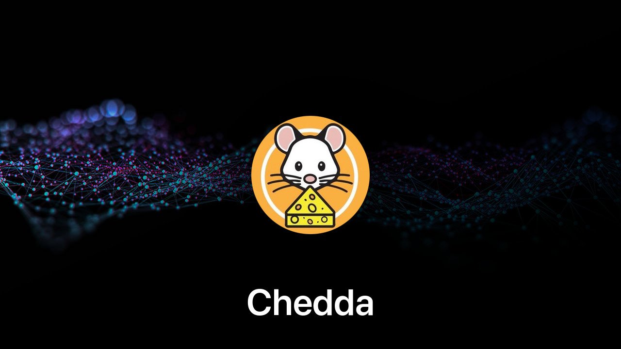 Where to buy Chedda coin