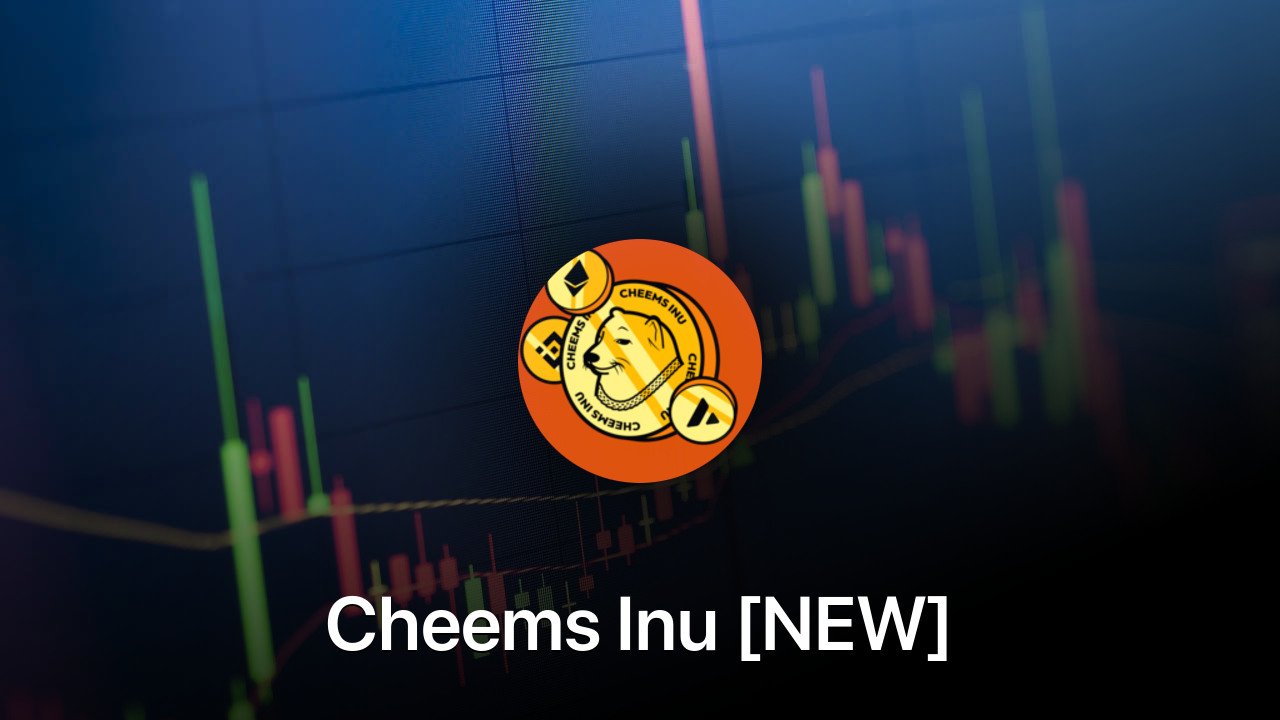 Where to buy Cheems Inu [NEW] coin