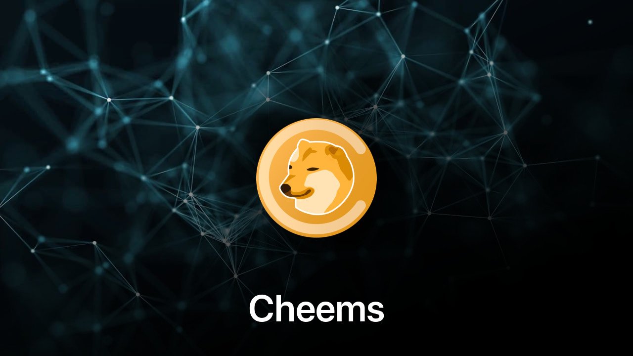 Where to buy Cheems coin