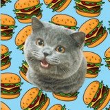 Where Buy Cheezburger Cat