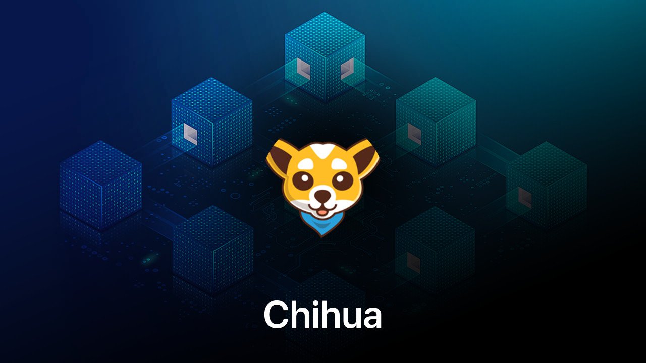 Where to buy Chihua coin