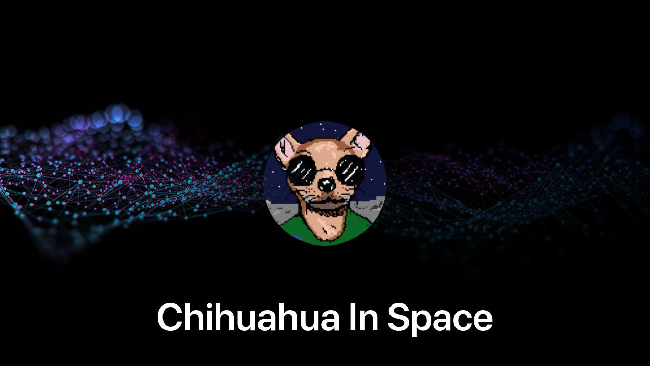 Where to buy Chihuahua In Space coin