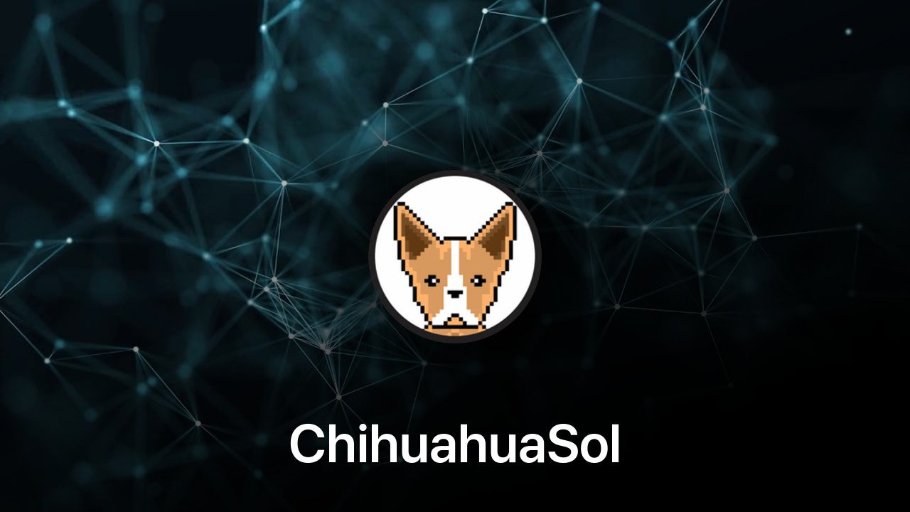 Where to buy ChihuahuaSol coin
