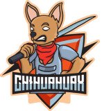 Where Buy Chihuahuax