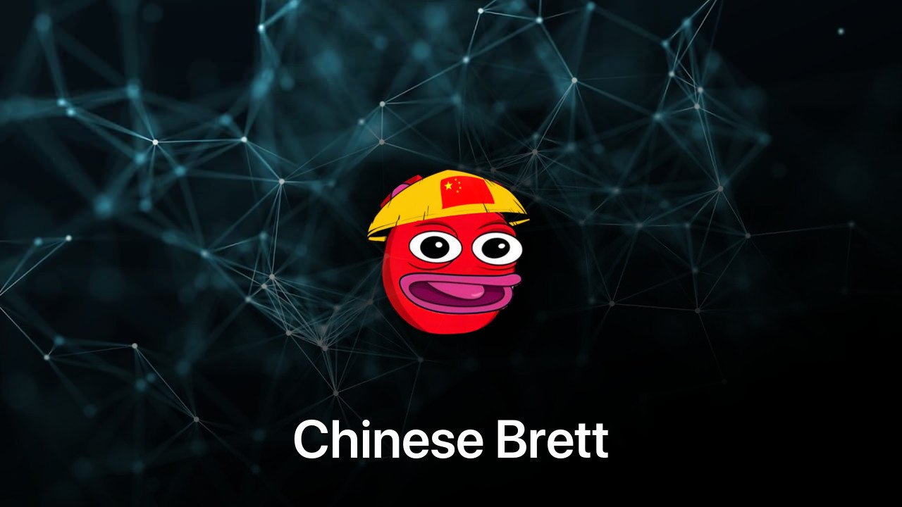 Where to buy Chinese Brett coin