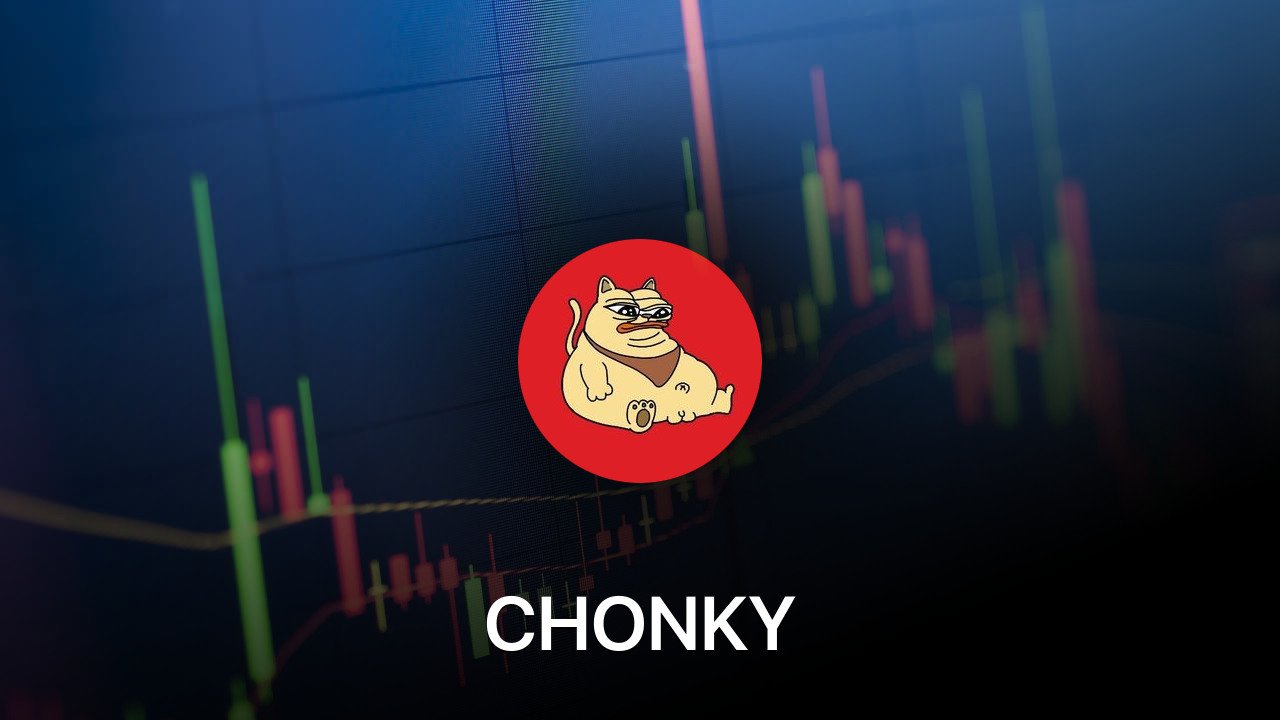 Where to buy CHONKY coin