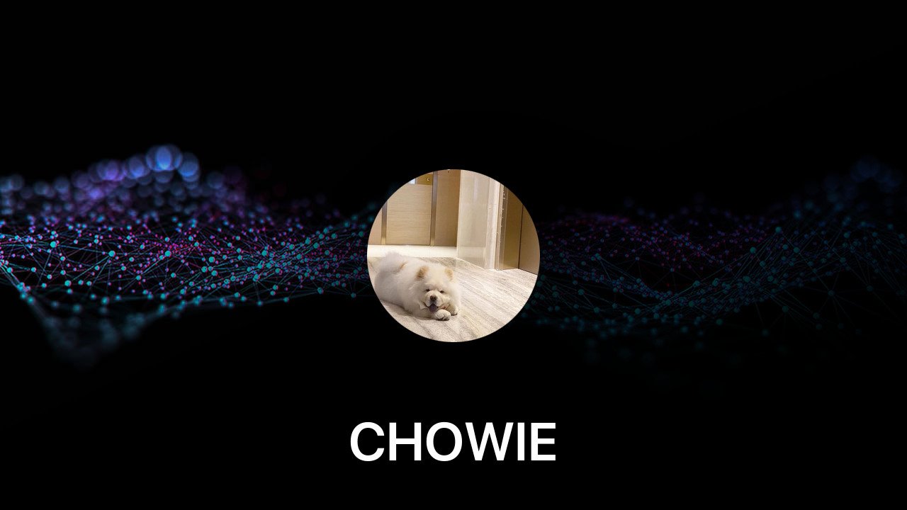 Where to buy CHOWIE coin